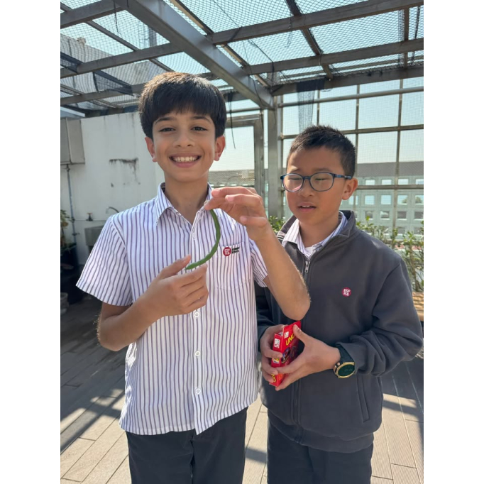 612104968_1362563199217261_2983284347953909872_n