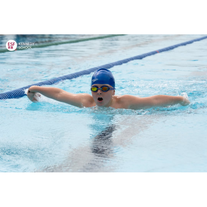 571140814_1305429878263927_8994494899109745147_n